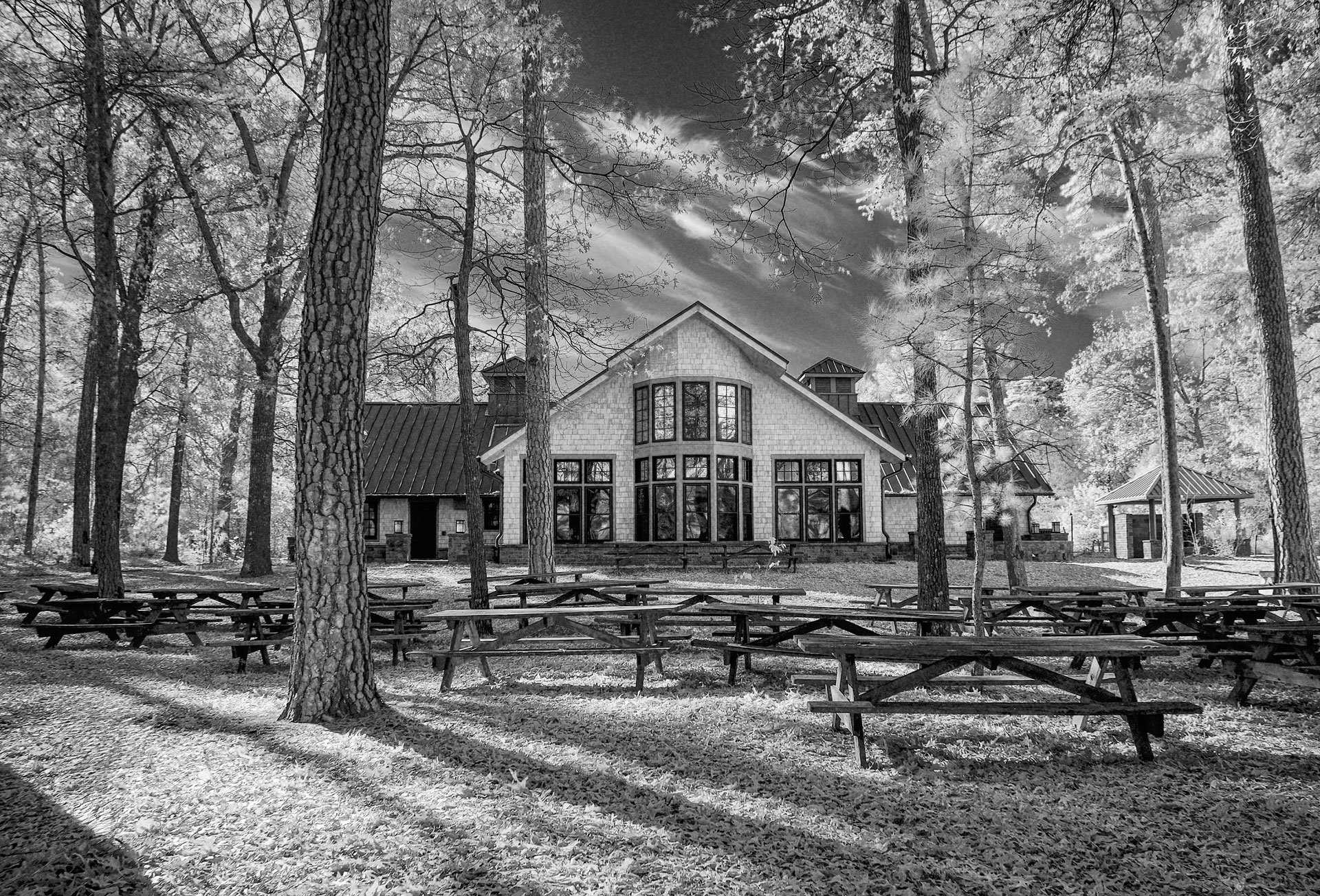 1st PrizeOpen Mono In Class 3 By Anne Rhoads For Trap Pond Picnic Area In Infrared SEP-2025.jpg